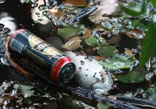 Basura-Rio-ASDEN-Ecologistas-Soria