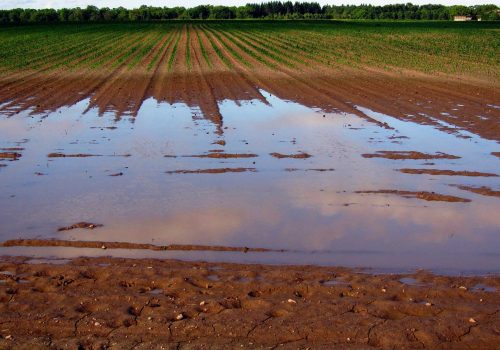 Inundacion-ASDEN-Ecologistas-Soria