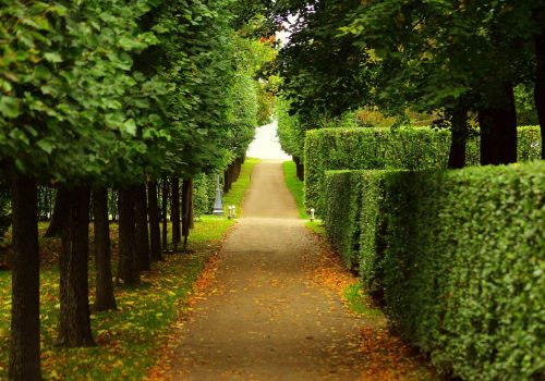 Jardines-ASDEN-Ecologistas-Soria