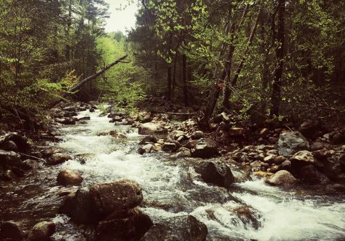 Rio-Revinuesa-Ecologistas-ASDEN-Soria