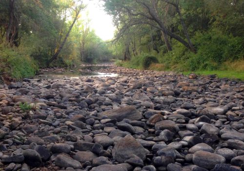 Sequia-Rio-Tera-ASDEN-Ecologistas-Soria