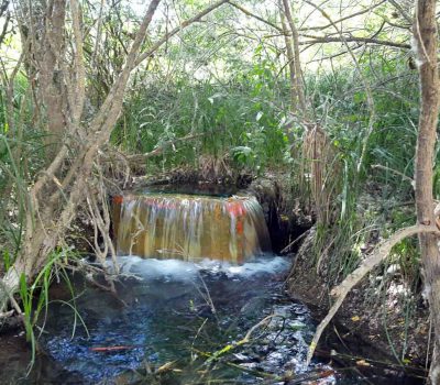 Vertido-ASDEN-Ecologistas-Soria